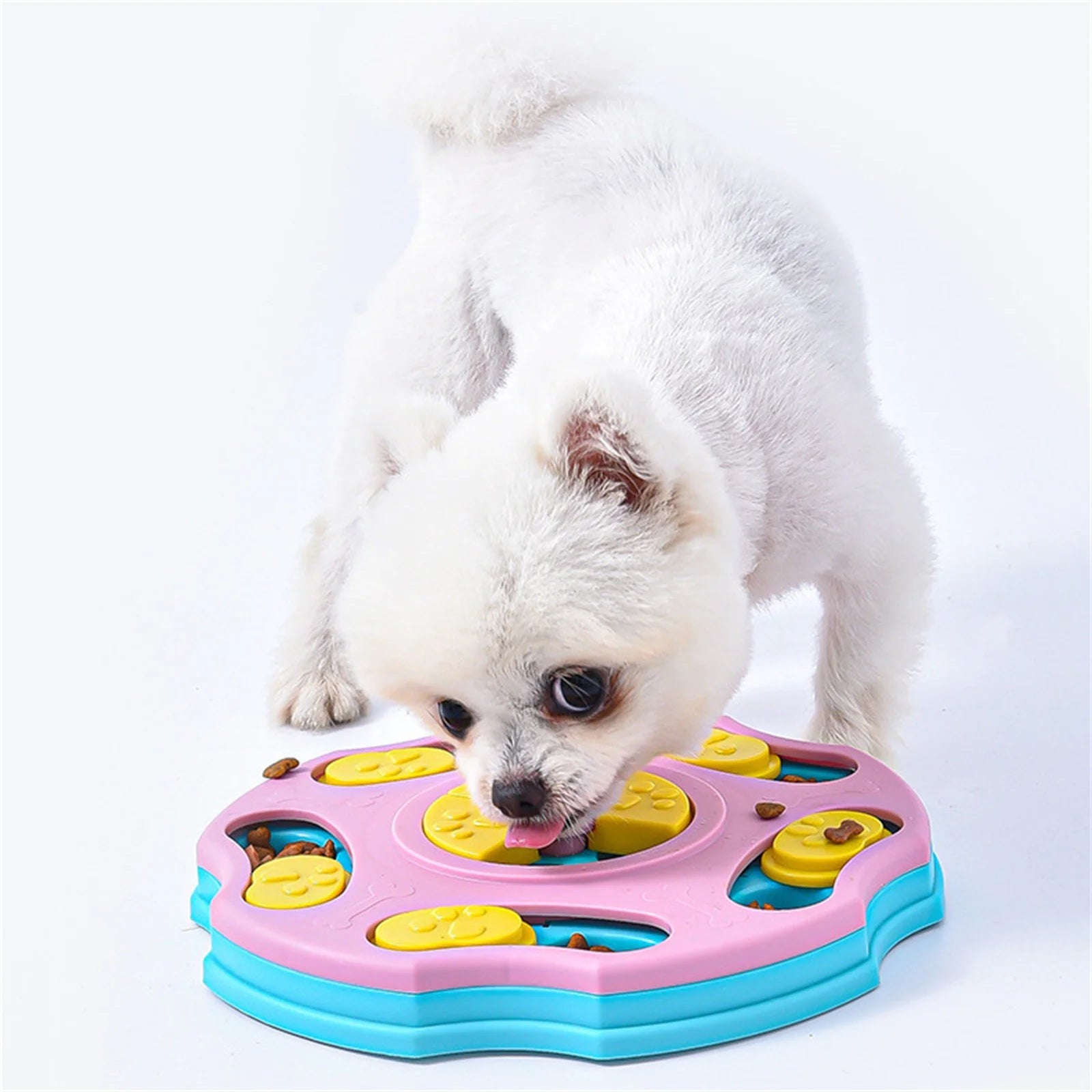 Dog interacting with a colorful puzzle toy on a white background