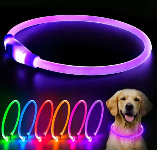 LED dog collar in various colors with a dog wearing it on a dark background